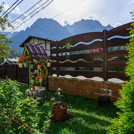 Отель Casa Ramino Буштени Экстерьер фото